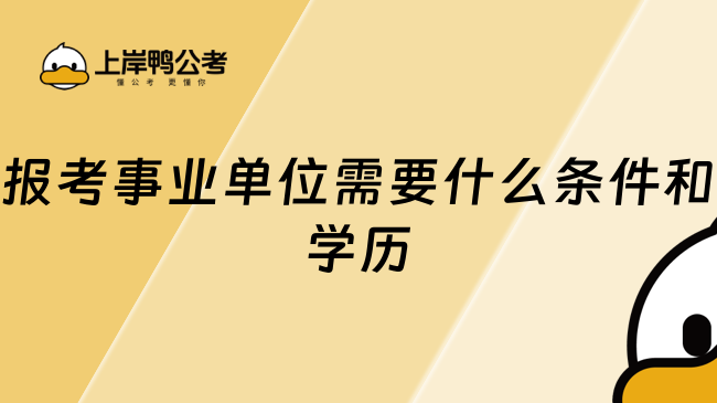 报考事业单位需要什么条件和学历