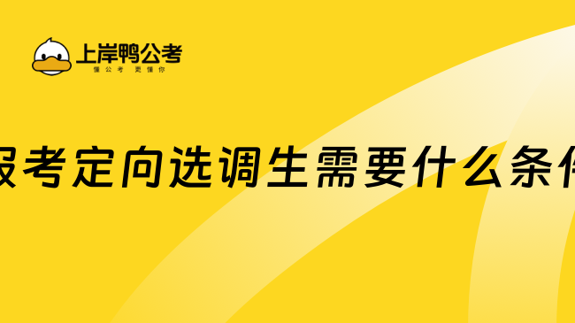 报考定向选调生需要什么条件