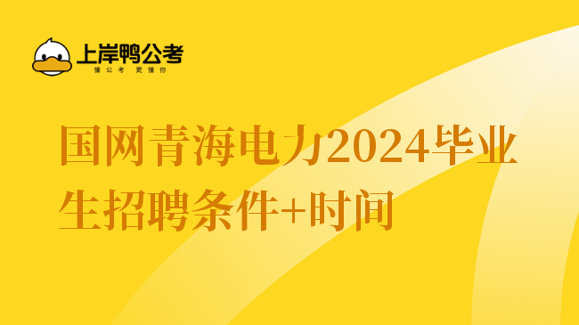 国网青海电力2024毕业生招聘条件+时间