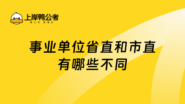 事业单位省直和市直有哪些不同