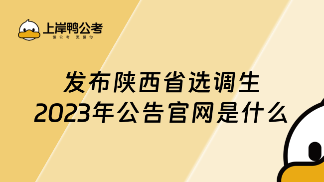 发布陕西省选调生2023年公告官网是什么