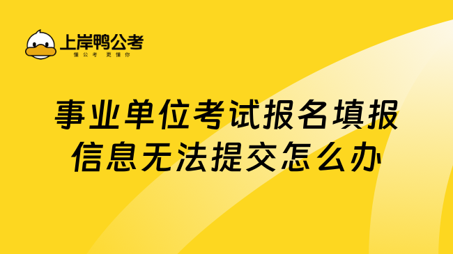 事业单位考试报名填报信息无法提交怎么办