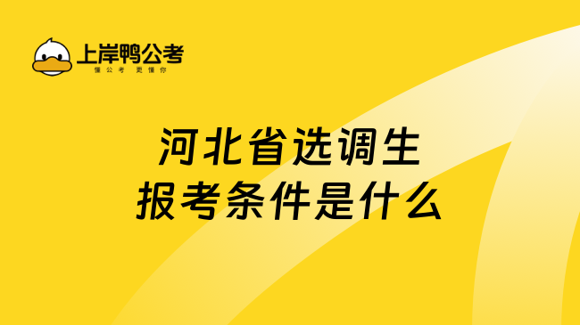 河北省选调生报考条件是什么