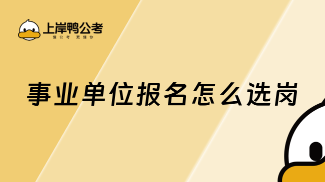 事业单位报名怎么选岗