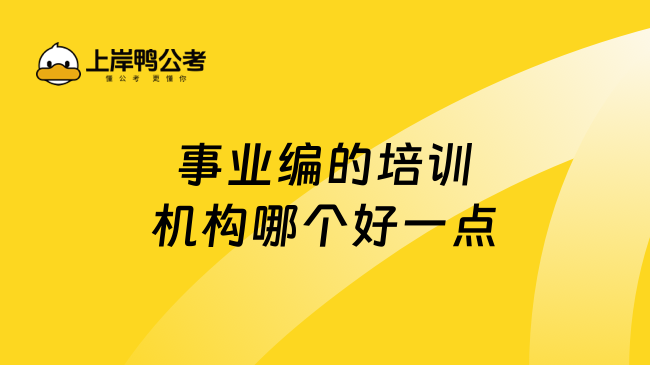 事业编的培训机构哪个好一点