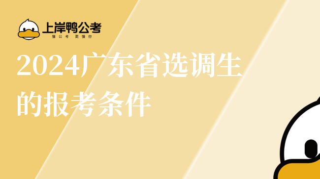2024广东省选调生的报考条件