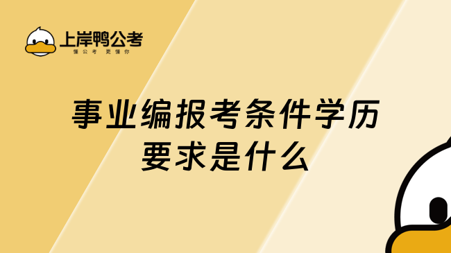 事业编报考条件学历要求是什么