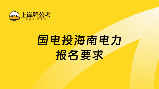 国电投海南电力报名要求