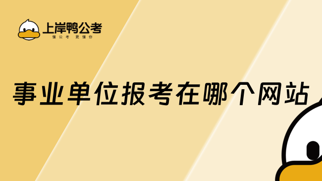 事业单位报考在哪个网站