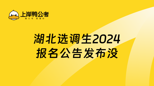 湖北选调生2024报名公告发布没