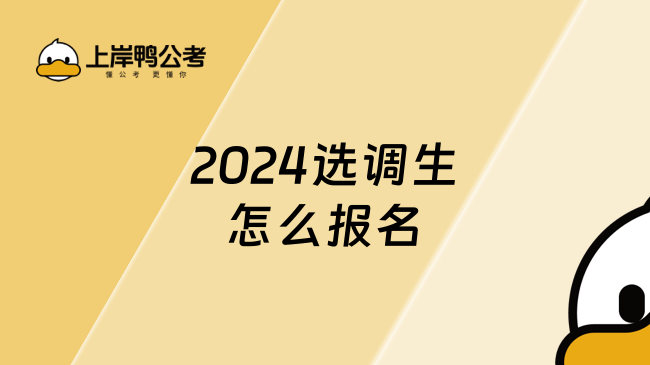 2024选调生怎么报名