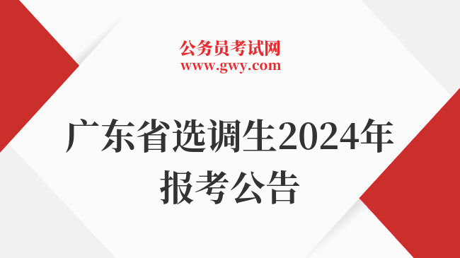 广东省选调生2024年报考公告