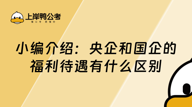 小编介绍：央企和国企的福利待遇有什么区别