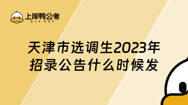 天津市选调生2023年招录公告什么时候发