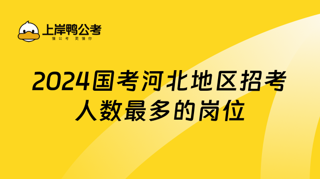 2024国考河北地区招考人数最多的岗位