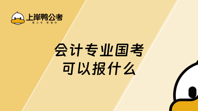 会计专业国考可以报什么