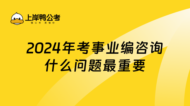 2024年考事业编咨询什么问题最重要