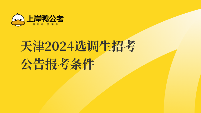 天津2024选调生招考公告报考条件