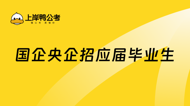 国企央企招应届毕业生