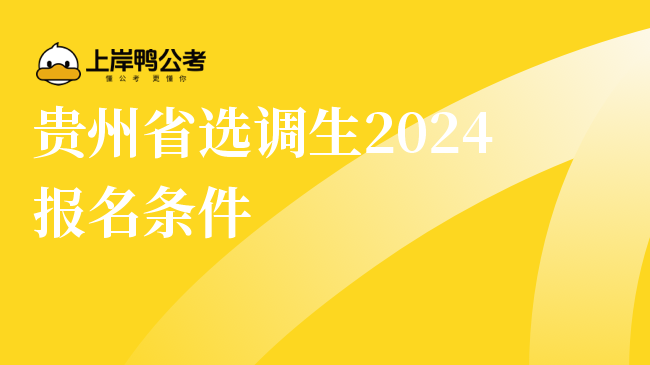 贵州省选调生2024报名条件