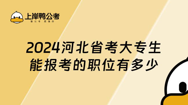 2024河北省考大专生能报考的职位有多少