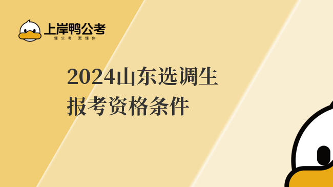 2024山东选调生报考资格条件