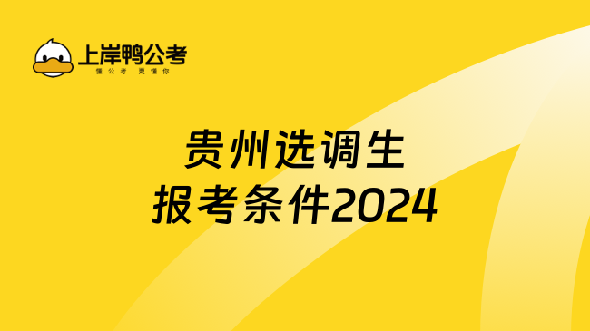 贵州选调生报考条件2024