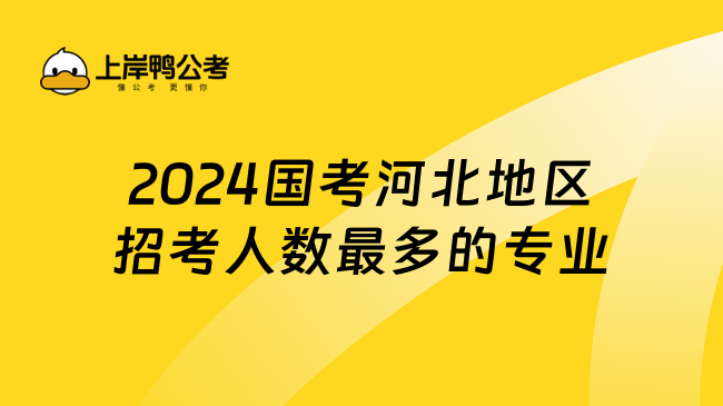 2024国考河北地区招考人数最多的专业