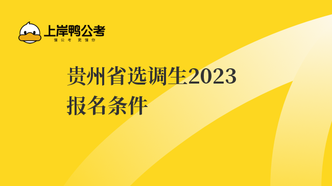 贵州省选调生2023报名条件