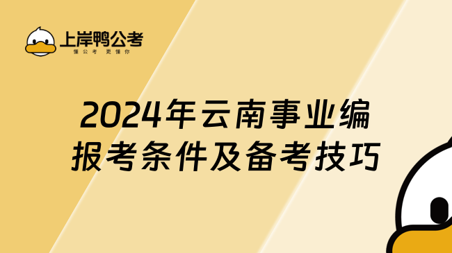 2024年云南事业编报考条件及备考技巧