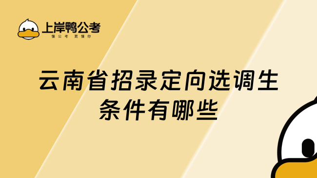 云南省招录定向选调生条件有哪些