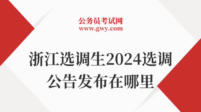 浙江选调生2024选调公告发布在哪里