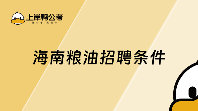 海南粮油招聘条件