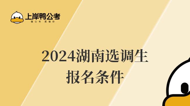 2024湖南选调生报名条件