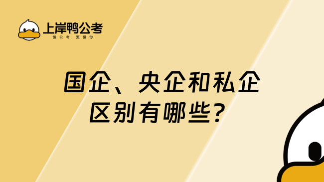 国企、央企和私企区别有哪些？