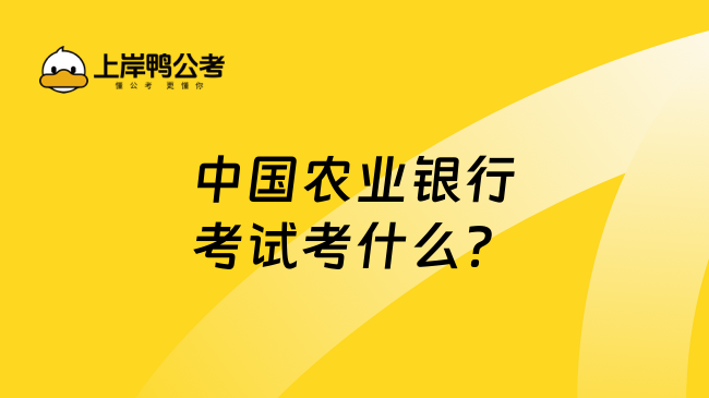 中国农业银行考试考什么？