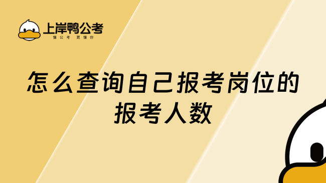 怎么查询自己报考岗位的报考人数