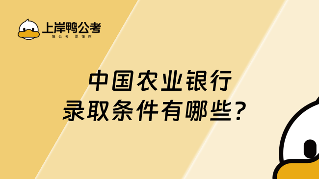 中国农业银行录取条件有哪些？