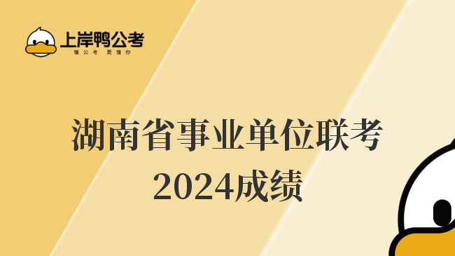 湖南省事业单位联考2024成绩