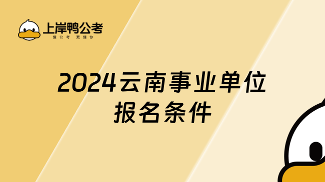 2024云南事业单位报名条件