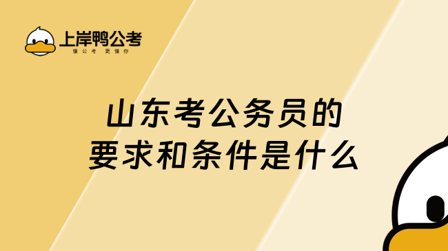 山东考公务员的要求和条件是什么