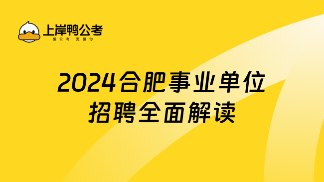 2024合肥事业单位招聘全面解读