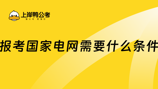 报考国家电网需要什么条件