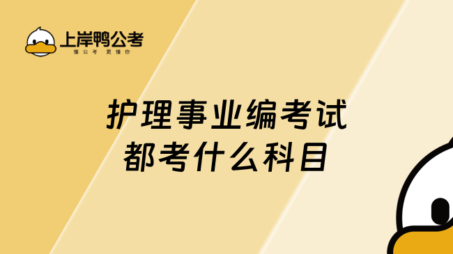 护理事业编考试都考什么科目