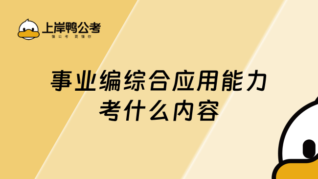 事业编综合应用能力考什么内容