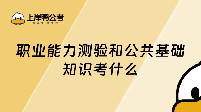 职业能力测验和公共基础知识考什么