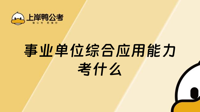 事业单位综合应用能力考什么