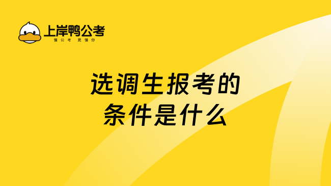 选调生报考的条件是什么