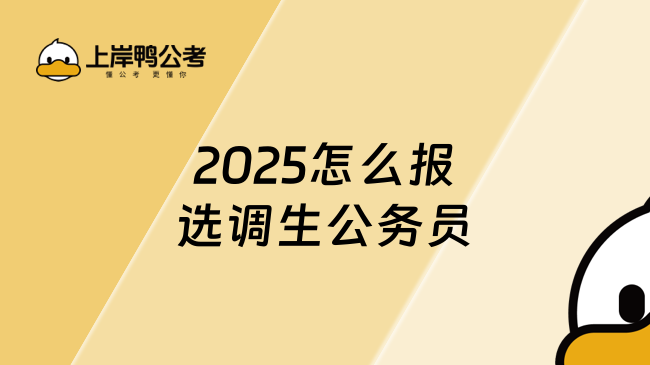 2025怎么报选调生公务员