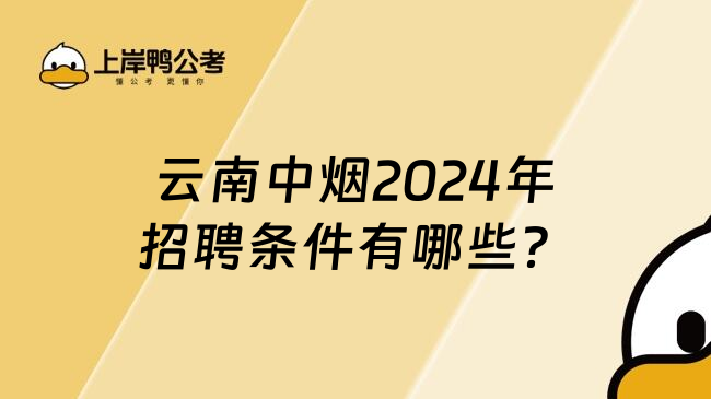 云南中烟2024年招聘条件有哪些？